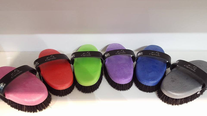 HAAS Capriole Brush Grey - Eqclusive