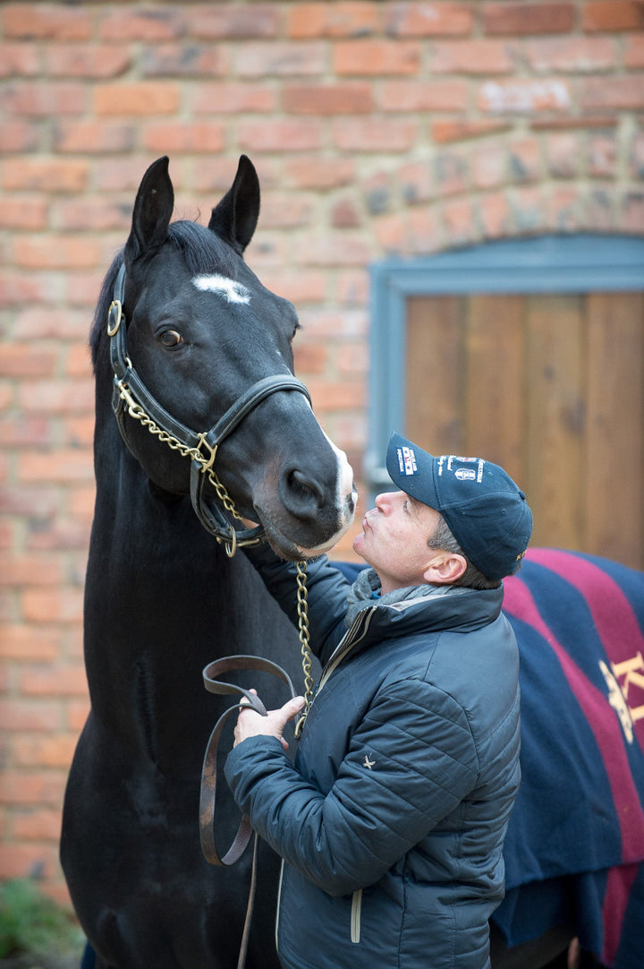 Alan Davies Mr. Glossy – Horse Finishing Brush for Ultimate Shine