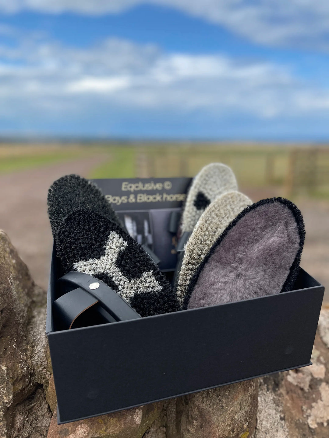 How to Clean Your Grooming Brushes Properly (So They Last for Years)