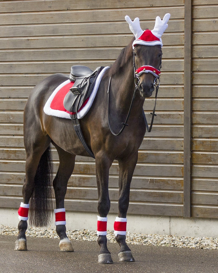 QHP Reindeer hat