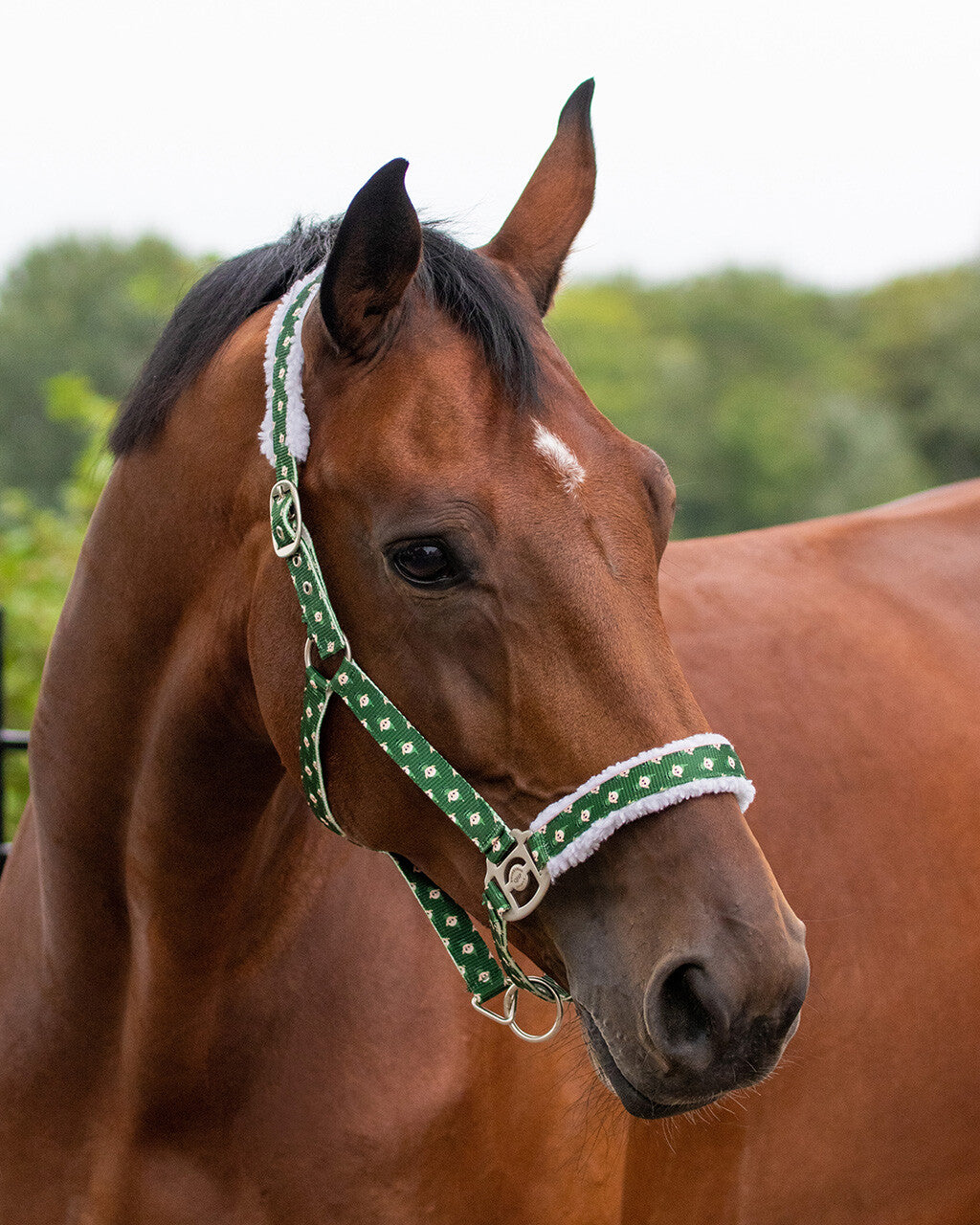 QHP Head collar Christmas