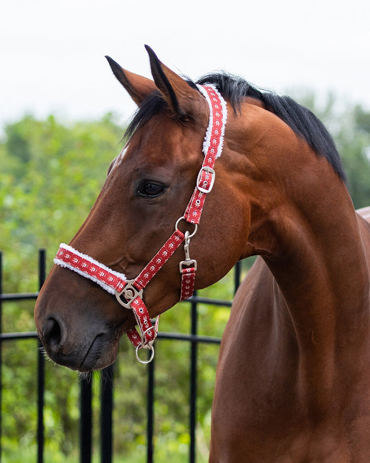 QHP Head collar Christmas