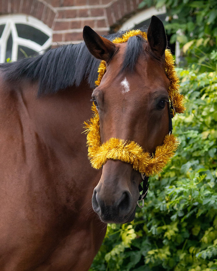 QHP Head collar Christmas garland