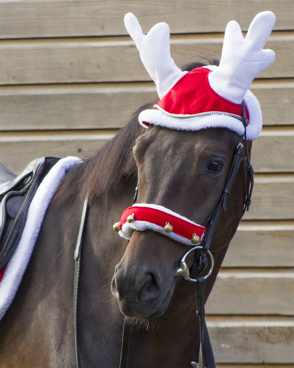 QHP Reindeer hat