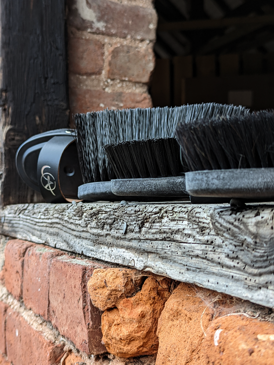 Alan Davies' Mountain & Moorland Must-have brushes