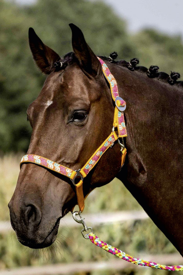 BUSSE Headcollar FUN