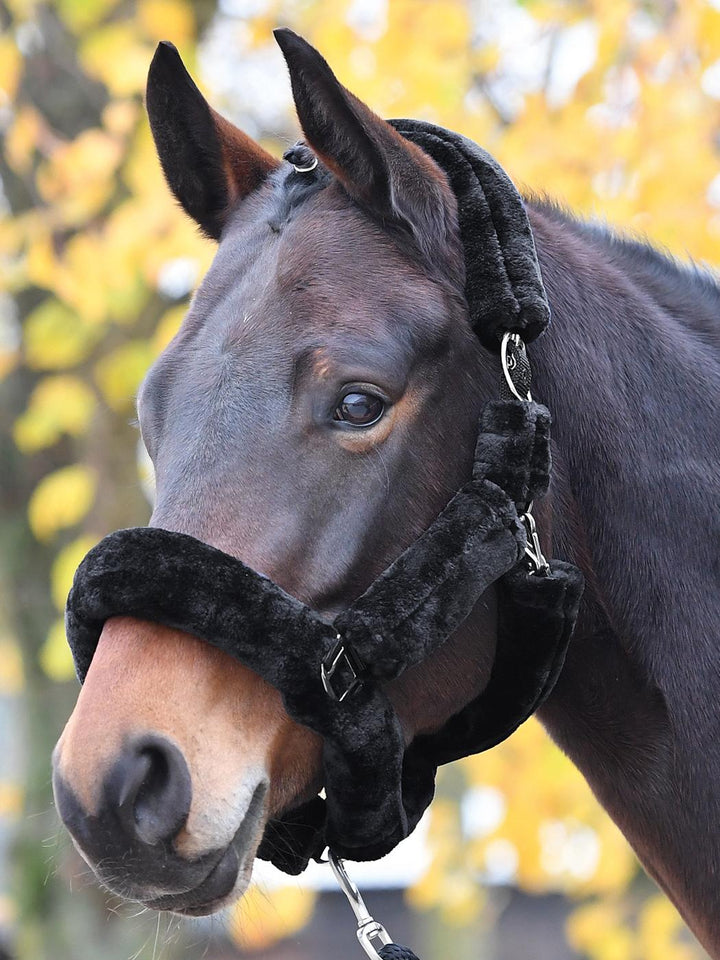 BUSSE Headcollar GUARD