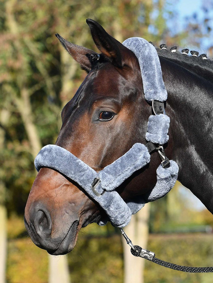 BUSSE Headcollar GUARD