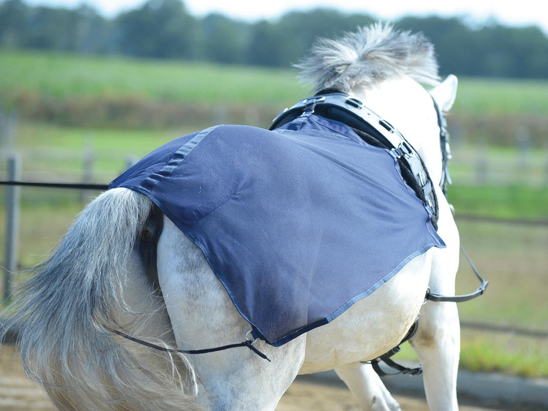 BUSSE Lunging Sheet FLY