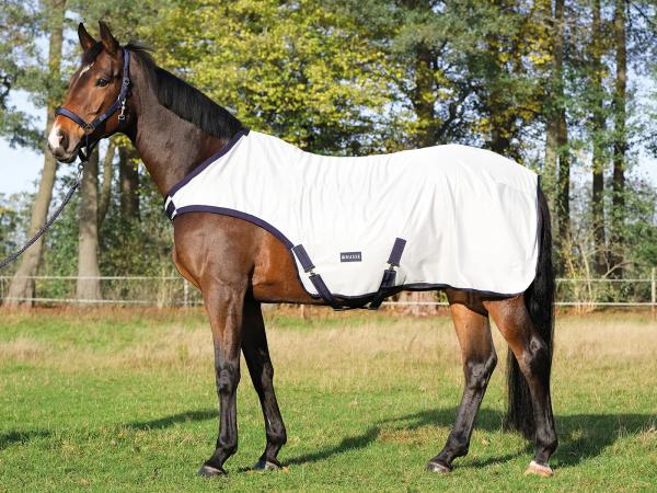 BUSSE Horse-Trainer Rug FLY COMFORT