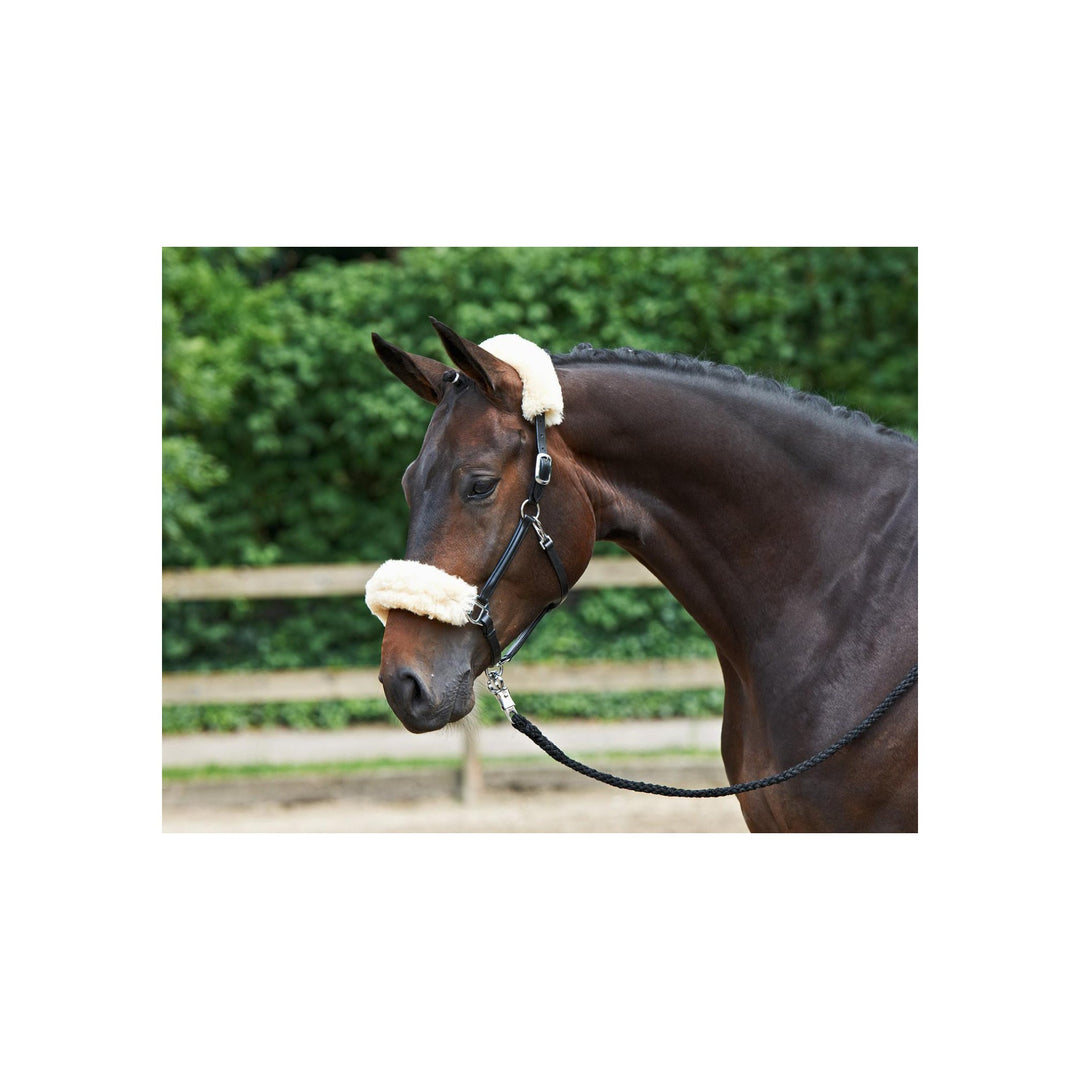 BUSSE Headcollar LAMMFELL