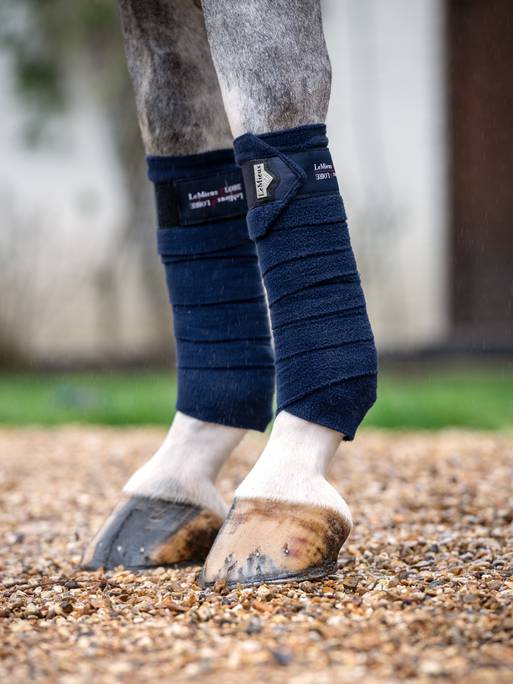 LeMieux Loire  Satin Polo Bandages