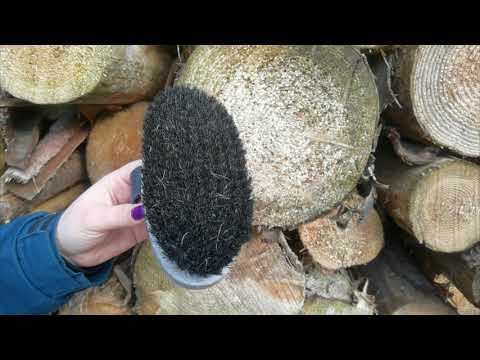 HAAS Schimmel Ladies