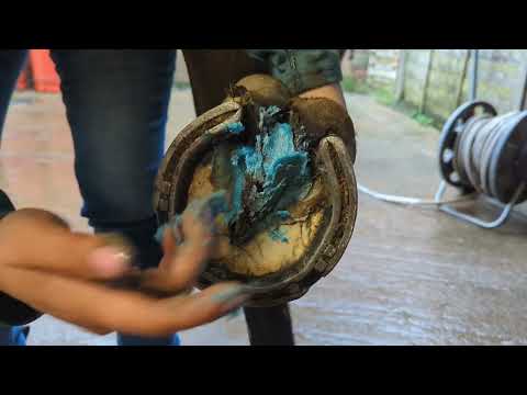 PRO FRO Frogs & Soles Ointment