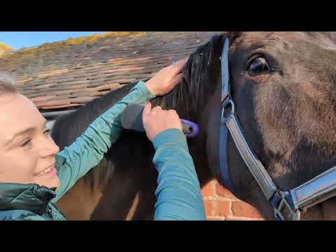 PRO LUMI Glitter & Shine Spray