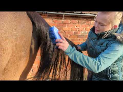 Eqclusive Mane and Tail brush