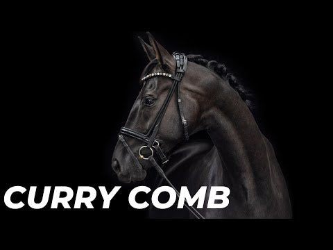 Eqclusive Curry Comb "New Generation"