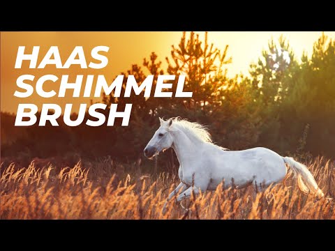 HAAS Schimmel Ladies