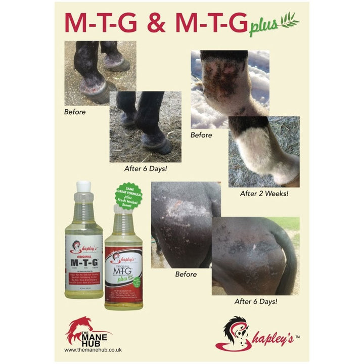 Shapley’s Original M-T-G | Proven Skin Healing & Hair Regrowth Oil for Horses – Rain Rot, Mud Fever & Sweet Itch Treatment