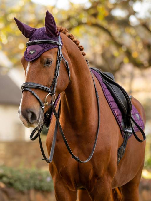 LeMieux Loire Fly Hood