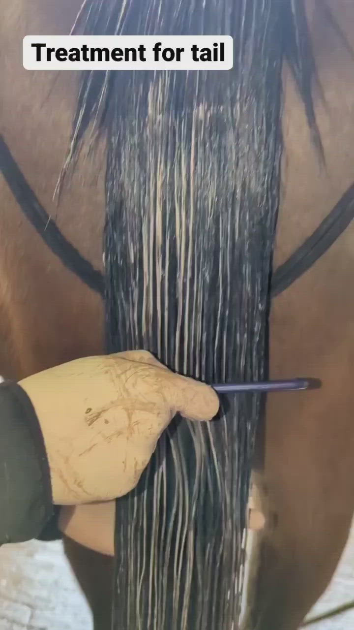 FAIRY TAILS Ultra-Conditioning Treatment | Professional Equine Mane & Tail Restoration