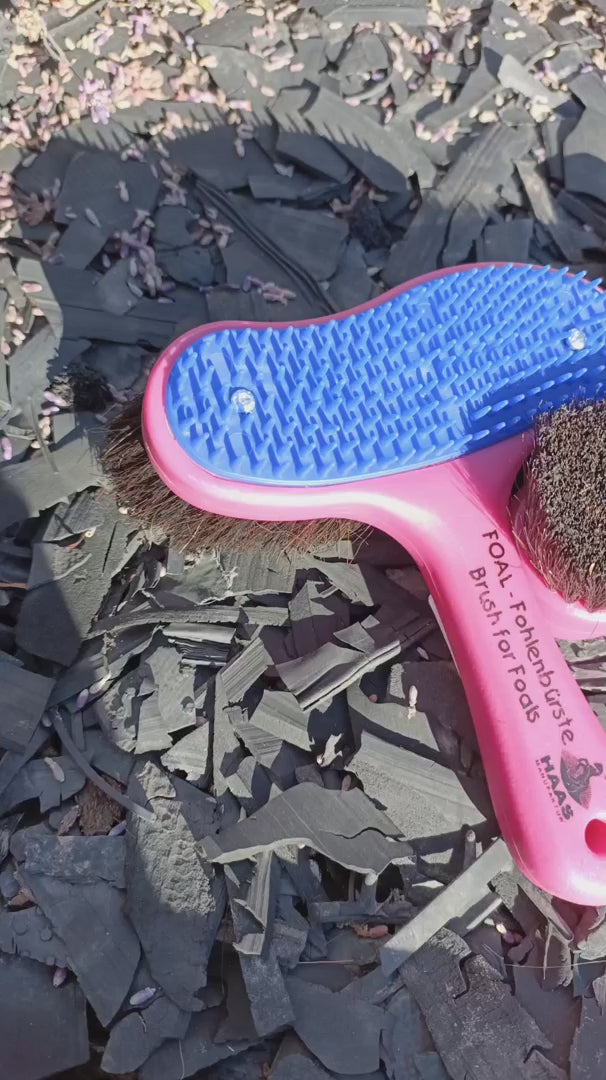 HAAS Foal Brush